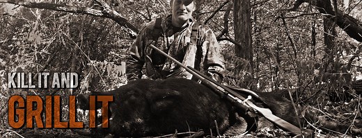 High Fenced Boar Hunts - No Mercy Hunting