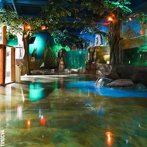 19K views · 88 reactions | Epic Aquarium Epoxy Resin Floor Partner: TimDCVA YT: youtube.com/c/TimDCVA/featured IG: instagram.com/timdcva/ | Crafty School | Facebook