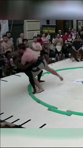 Judo vs Sumo 🏆Can a Judoka Survive a Sumo Tournament?🏆