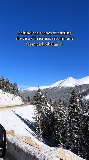 still winded from walking through the mid-thigh deep snow 😤😮‍💨 total fall count: 74 times