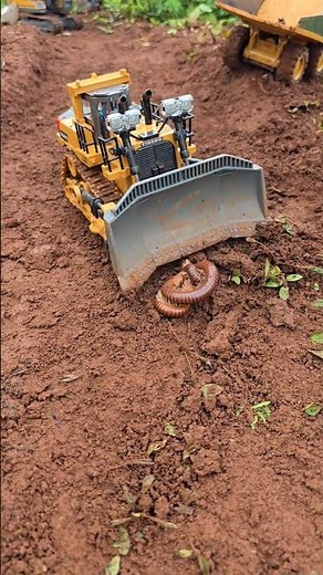Collecting, Pushing Millipedes, rc bulldozer #insects #rc #millipede #shorts