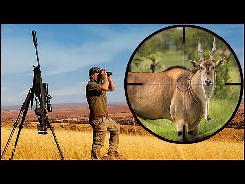 Ultimate Free Range African Hunt