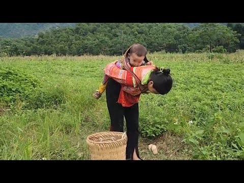 75 Days Living Off the Land – Ly Tam Nhu’s Story of Building and Farm Life