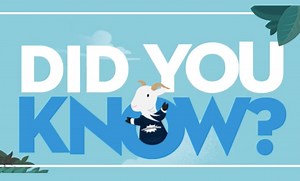 Guide Your End User Where & When They Need It - Salesforce Admins