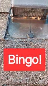 LG dryer not drying! D80 D90 ERROR. dryer vent cleaning. #diy