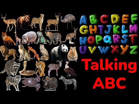 ABC Animal Alphabets | talking ABCD | A-Z Talking Animals | abc talking Animals interactive AI video