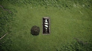 Snake Grave Buried Body Grave Snakes Stock Footage Video (100% Royalty-free) 3667150941 | Shutterstock