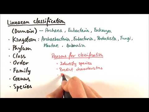 AS Biology - Classification and binomial nomenclature (OCR A Chapter 10.1-2)