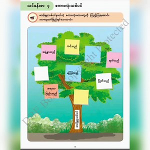 3K views · 150 reactions | Grade-4 (စတုတ္ထတန်း) ဘာသာရပ်အလိုက် သင်ခန်းစာ အရင်းအမြစ်များ Grade-4 Myanmar (စတုတ္ထတန်း မြန်မာစာ) #G4_Myanmar_Chapter_4 | 홿횛횘 홾횗횎 | Facebook