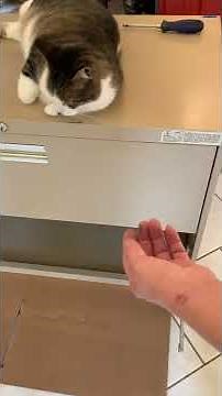 HOW TO REMOVE A DRAWER FROM " HON" LATERAL FILE CABINET