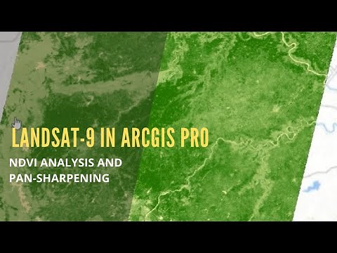 Landsat-9 in ArcGIS Pro (NDVI and Pan-Sharpening Analysis)