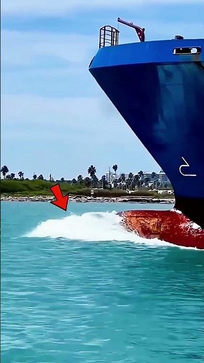 Why Do Dolphins Swim in Front of Ships?#facts #didyouknow #mindblowingfacts