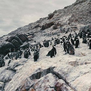 375K views · 403 reactions | DJI's most compact & foldable camera drone. Shoot stabilized 4K video, 32 MP 360° panoramas, and slow-motion shots. | DJI | Facebook