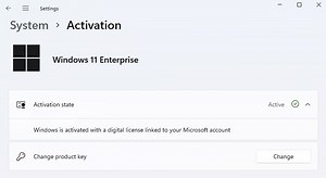How to check if Windows 11 is activated