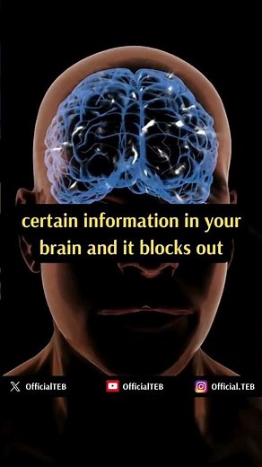 Mel Robbins Explains The Reticular Activating System and The Law of Attraction