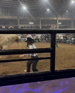 895K views · 16K reactions | GALLITO 鸞 DE MORELIA  EXCELENTE TRABAJO QUE HIZO COMO JINETE Y GANADERO EN EL RUEDO  | Jaripeos Chingones USA | Facebook