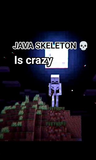Java skeleton VS Bedrock skeletons 💀 edit 💪🔥💀💀