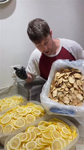 David Blake Cocktails on Instagram: "24 Hours of Cutting and Dehydrating NON STOP!! Send Help LOL!! #dehydratedfruit #fruitcutting #citrus #driedfruit #homestead #homesteadersofinstagram"