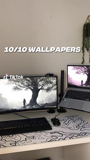 Discover the Best Moewalls Wallpapers for Discord