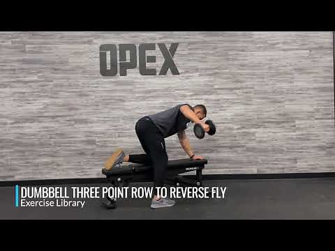 Kneeling Dumbbell Three Point Row to Reverse Fly