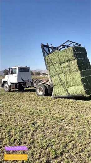 Lifting Hay Like a Pro: How a Farm Truck Turns Bales Into Cargo