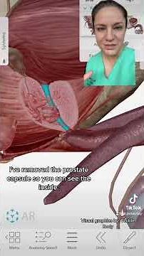 The Male Pelvic Exam