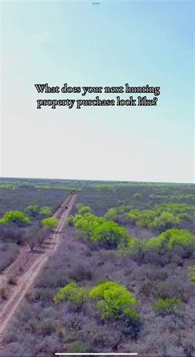 Hailey Weaver on TikTok