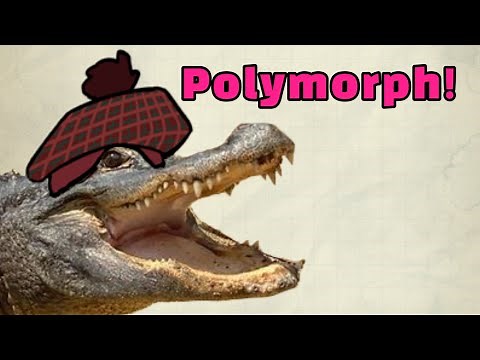 D&D 5E Advanced guide to Polymorph