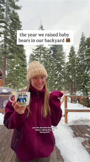 Black Bears and Cubs at Lake Tahoe: A Year in Review