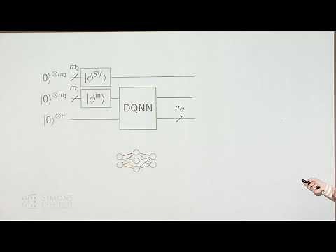 Quantum neural networks