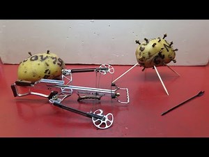 Amazing Reverse Crossbow KillCovid 19