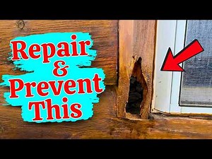 How To Fix Dry Rot & Make Sure It Never Comes Back