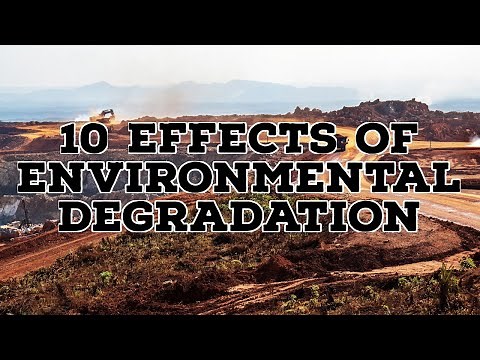 10 EFFECTS OF ENVIRONMENTAL DEGRADATION