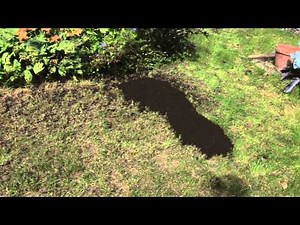 How to Topdress a Lawn