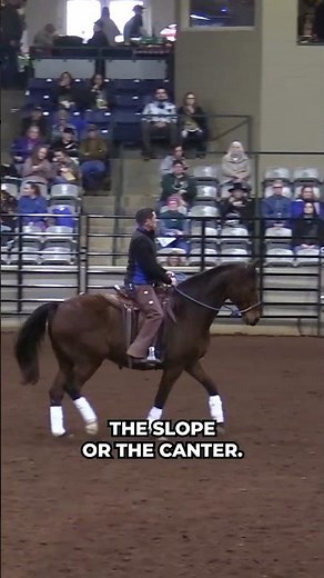 Understanding Gait Differences