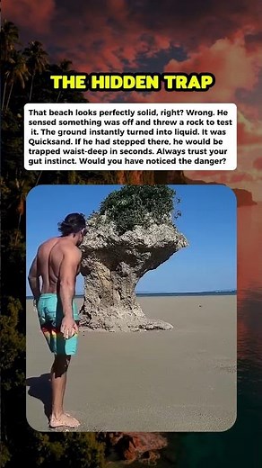 One step here and the vacation would be over. #curiosity #mistery