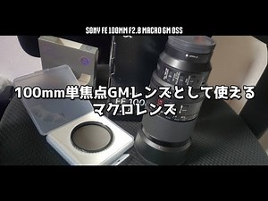 SONY FE 100mm F2.8 Macro GM OSS SEL100M28GM Review - Stance Nation Japan Fuji 2025