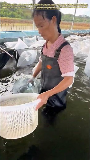Fish Packing Secrets: How Workers Bag Live Fish Without Stress