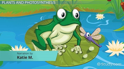 You must c C reate an account to continue watching