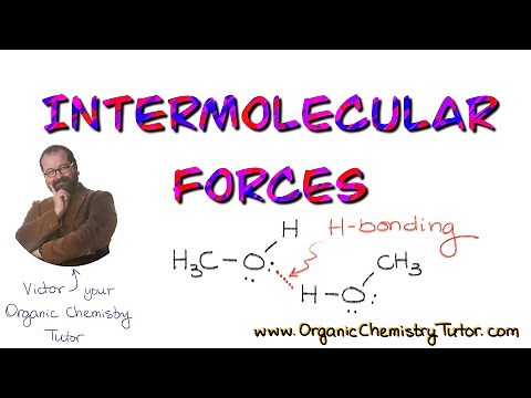 Intermolecular Forces in Organic Molecules