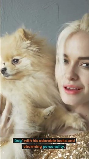 World's Cutest Dog: Boo the Pomeranian