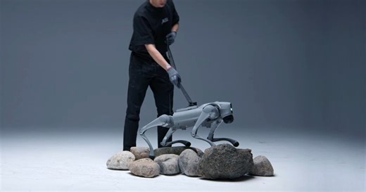 autonomous robot dog luna learns how to walk, stand and move on its own like a human