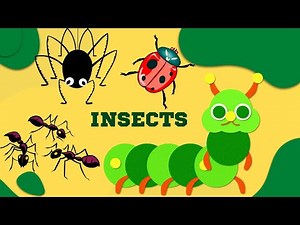 INSECTS & BUGS: Names of Insects with Videos for Kids
