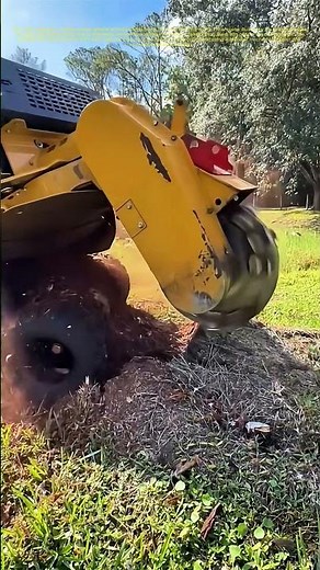 Grinding Away: How Stump Grinders Transform Tree Roots into Mulch