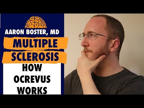 How Ocrevus works in Multiple Sclerosis