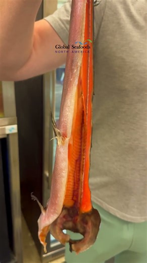 One big king salmon fillet: trim & pin-bones (fast guide)