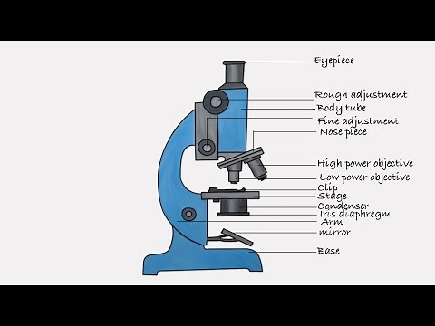 how to draw microscope | step by step microscope drawing
