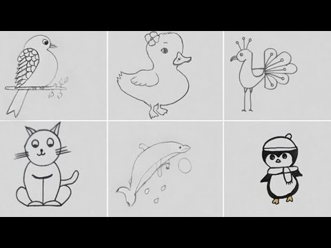 Easy Drawing Ideas | Bird Drawing | Duck Drawing | Peacock Drawing | Cat Drawing | Dolphin Drawing