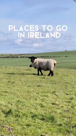 Places to visit in Ireland ☘️💚 #placestovisitinireland #thingstodoinireland #ireland_travellers #fyp #visitireland 📽 Credits IG: im.nowhere