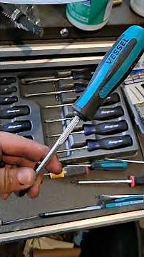 Snap-On 12 Piece Screwdriver set (1 year review) SGDXW120BMB